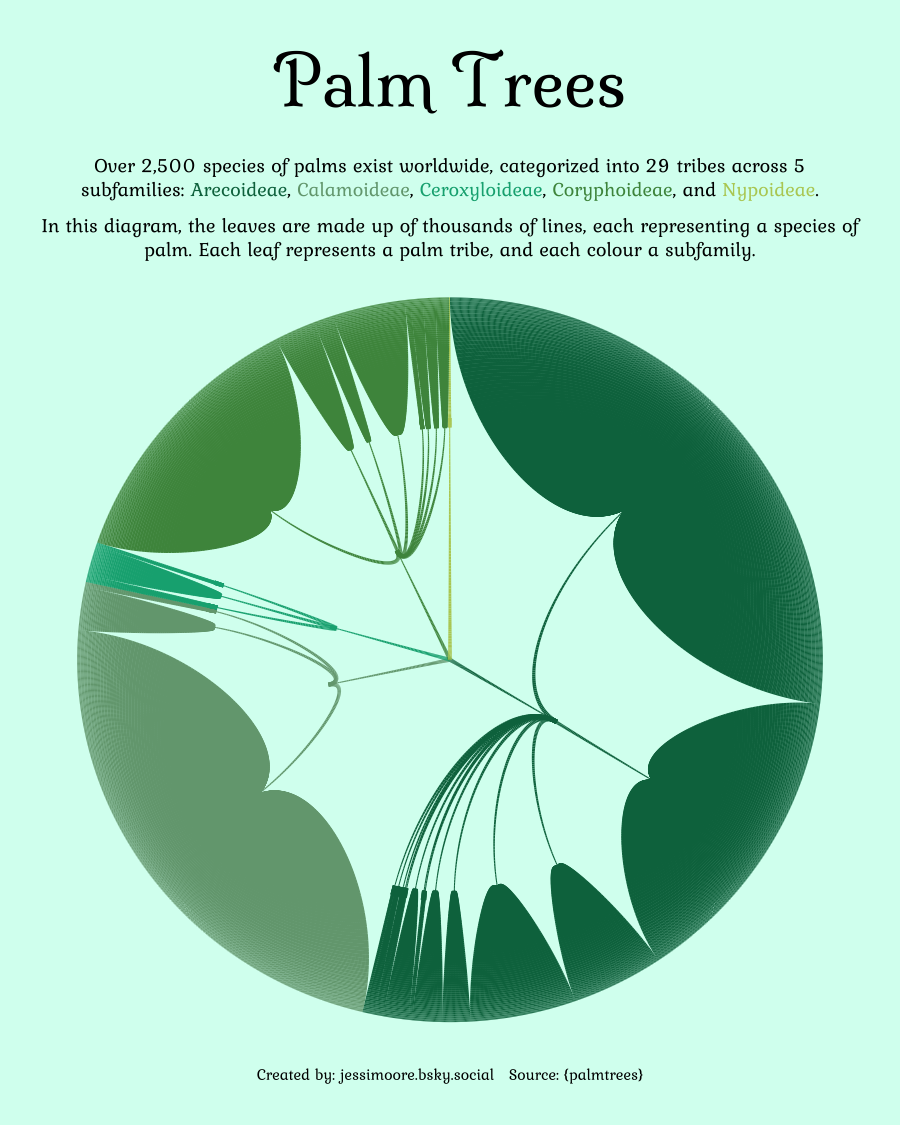 Tidy Tuesday: Palm Trees
